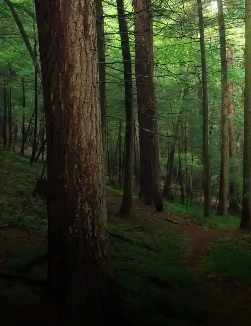 2017-09-23-16-10-09_11zon