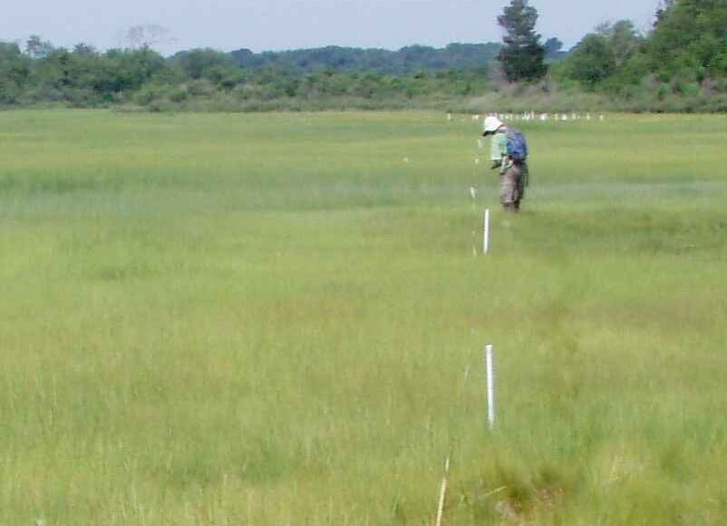 Narragansett20National20Research20applicationphoto_11zon