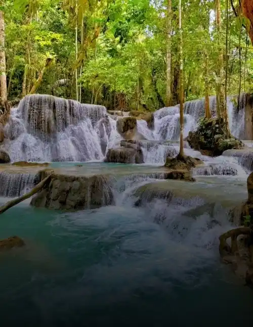 snapsave-app_3370688075498602413_11zon