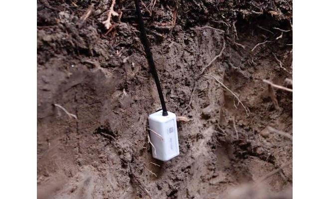 HOBO Alat Perekam Data MX Soil Moisture and Temperature Data Logger MX2307 - Gambar 3
