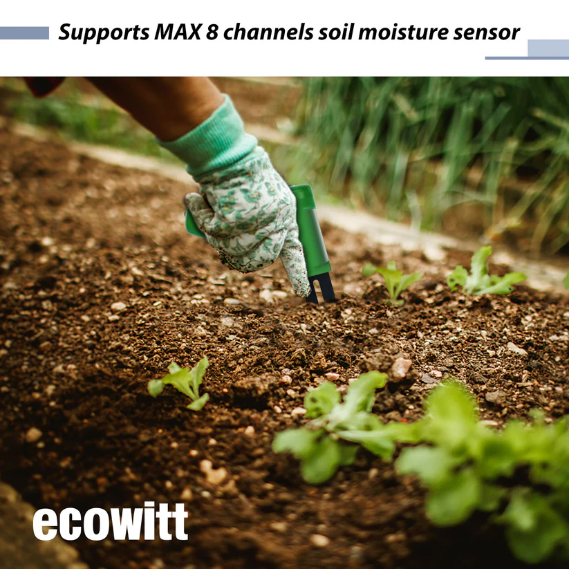 Ecowitt GW1206 Soil Moisture Meter Kit, Includes GW1200 IoT Wi-Fi Gateway and WH51 Soil Moisture Sensor - Gambar 8