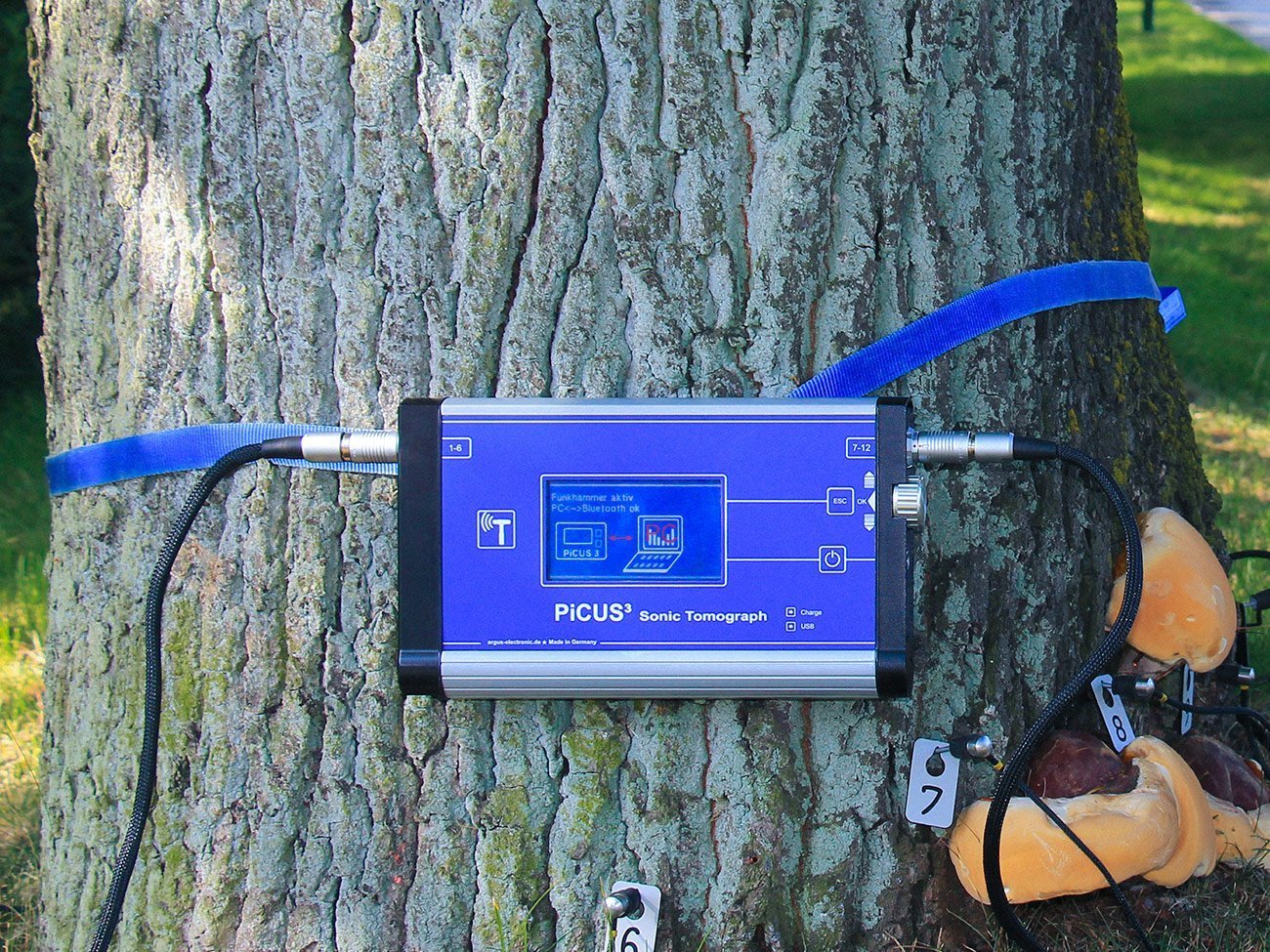 PiCUS Sonic Tomograph | PiCUS Alat Tomografi Sonik