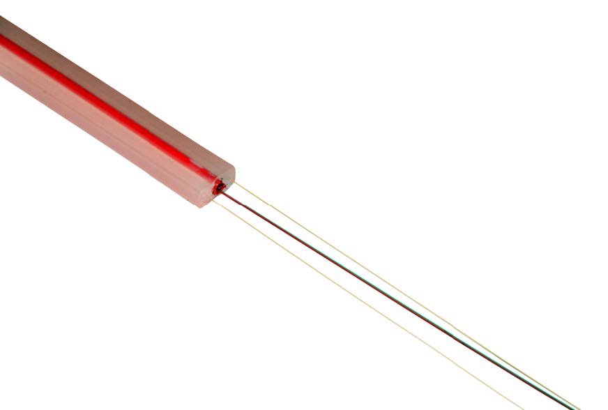 DiTeSt SMARTProfile II Soil Instrument