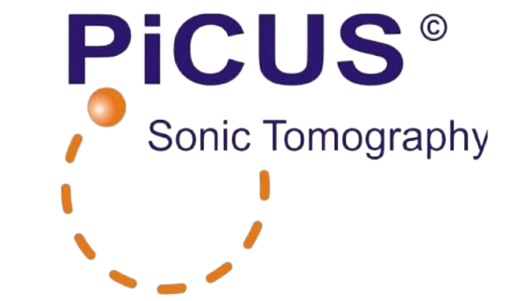 Principal 8