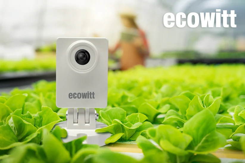 WittCam HP10 Wi-Fi Time-lapse Camera - Gambar 9